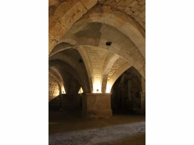 Image qui illustre: Crypte Saint André