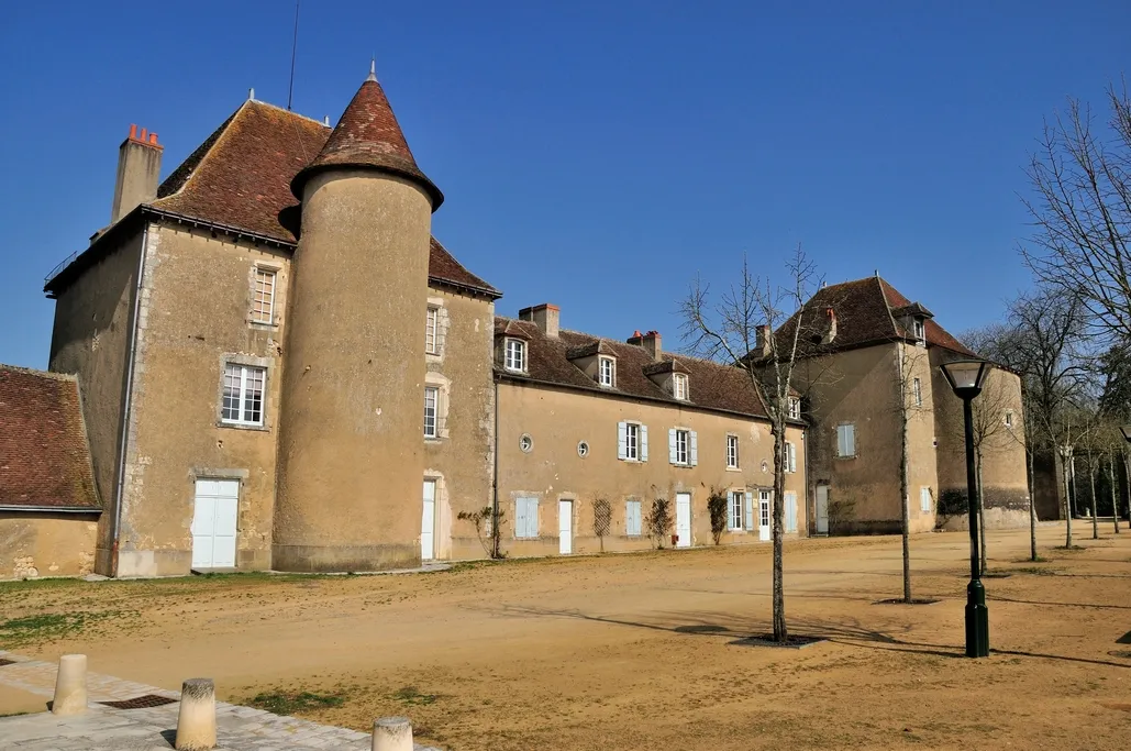 Image qui illustre: Ecomusée De La Brenne - Château Naillac à Le Blanc - 1