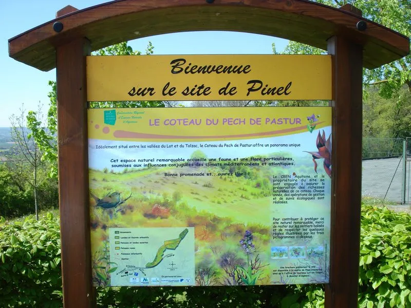 Image qui illustre: Les Pelouses Sèches De Pinel à Pinel-Hauterive - 0