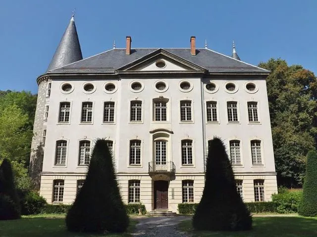 Image qui illustre: Château de Bressieux