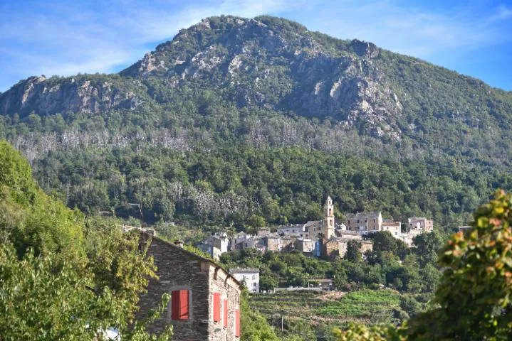 Image qui illustre: Mont Sant’Anghjulu
