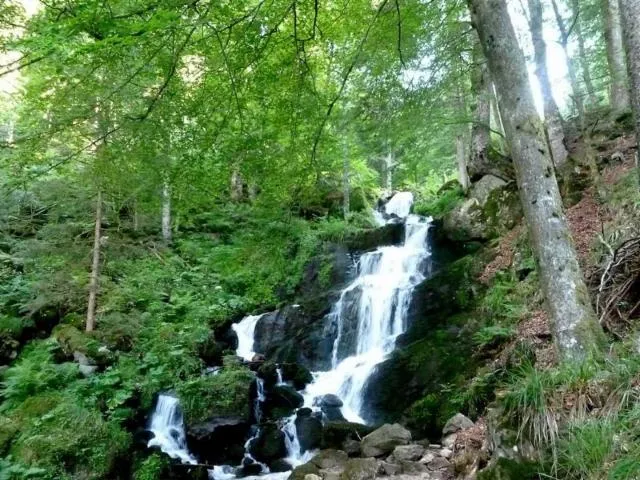 Image qui illustre: Cascade De La Serva