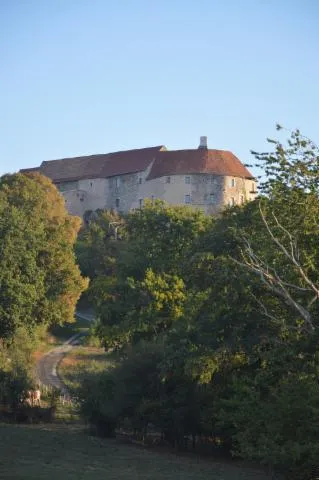 Image qui illustre: Visites et animations médiévales au château de Montby