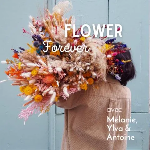 Image qui illustre: Composez votre bouquet de fleurs séchées