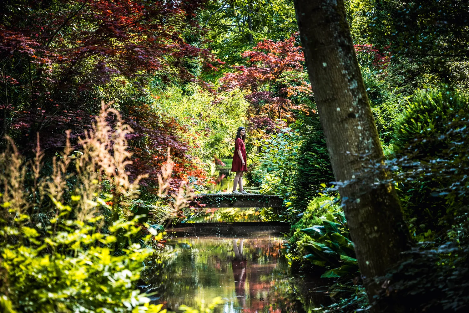 Image qui illustre: Jardin Arboretum D'ilex à Meung-sur-Loire - 0