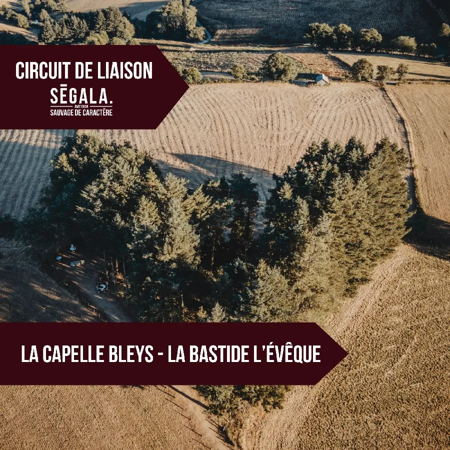 Image qui illustre: Circuit De Liaison Vtt Vae - La Capelle Bleys / La Bastide L'evêque à Rieupeyroux - 0