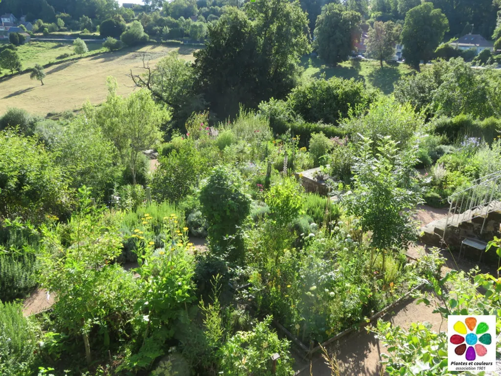Image qui illustre: Jardin "Plantes ou Couleurs" à Bénévent-l'Abbaye - 2
