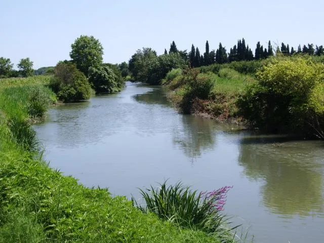 Image qui illustre: Canal De Lunel