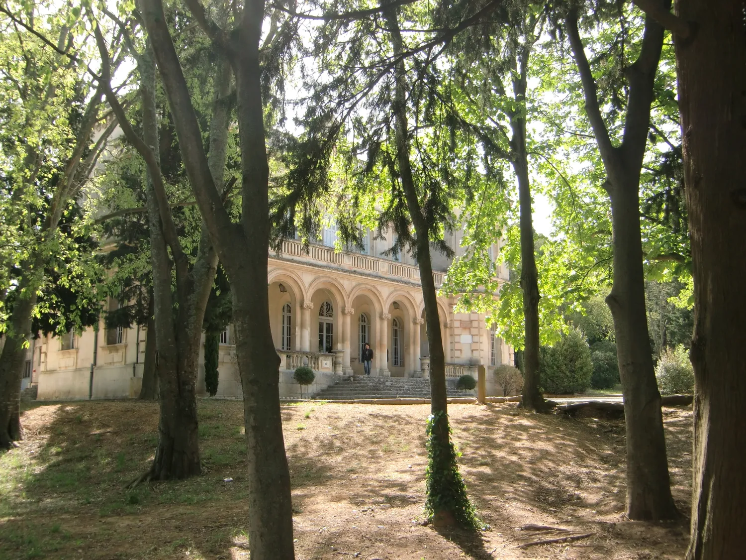 Image qui illustre: Château De Montauban à Fontvieille - 1