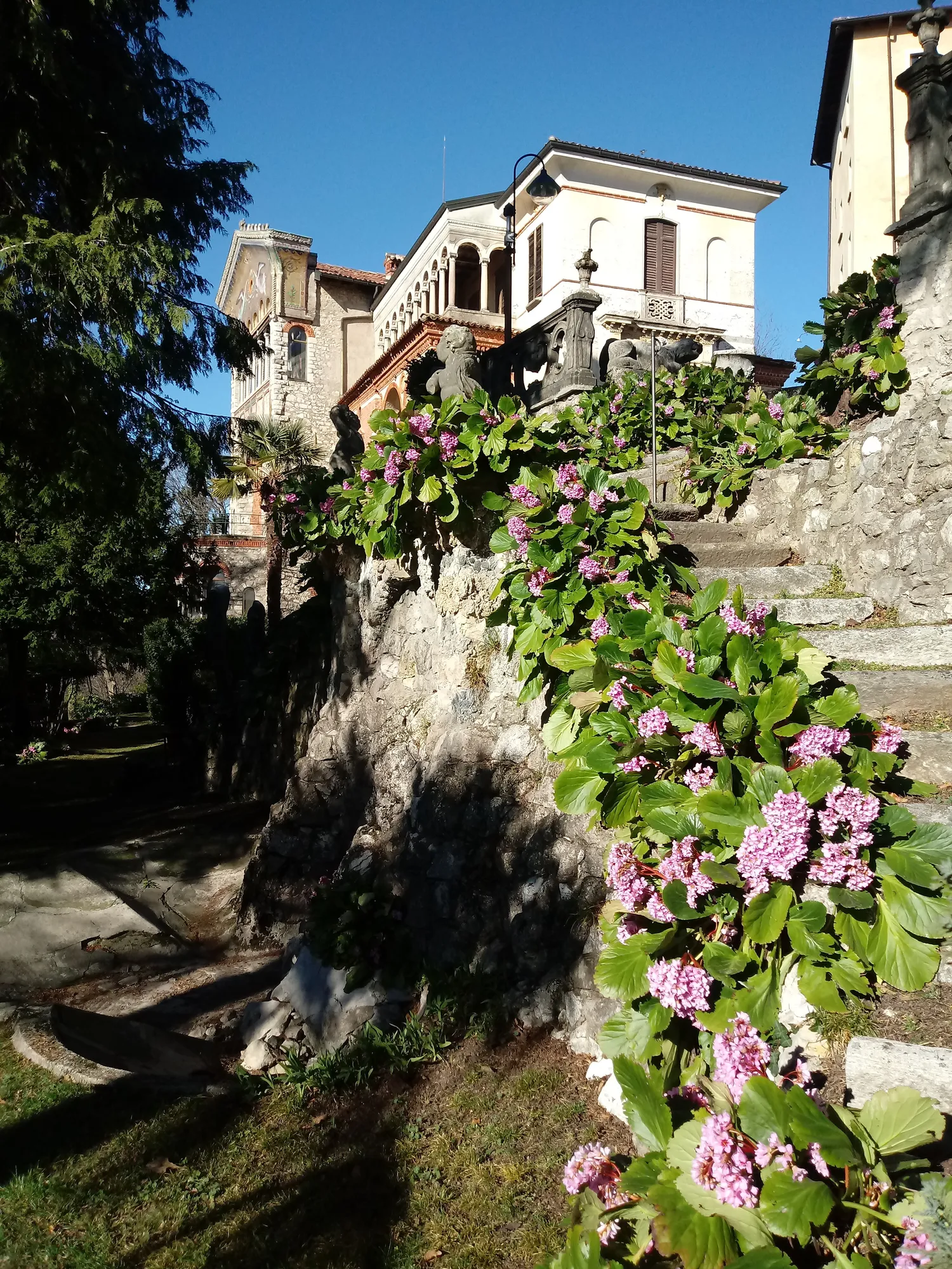 Image qui illustre: À la recherche d'arbres et de fleurs à Casa Pogliaghi à  - 0
