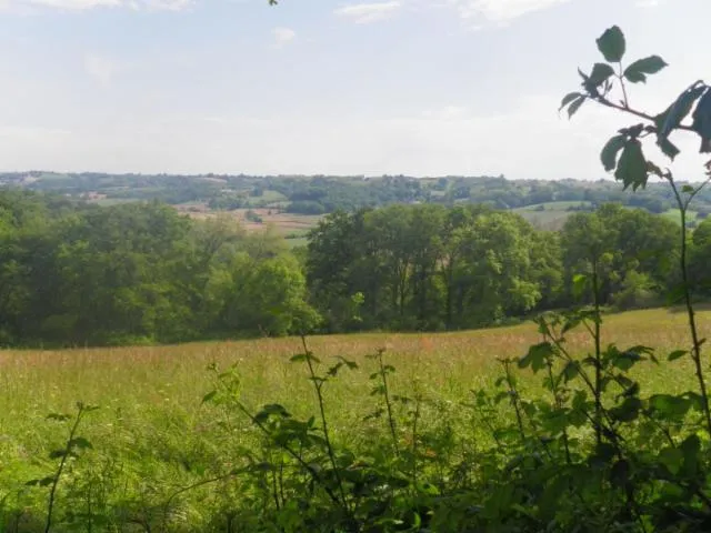 Image qui illustre: Mialos : Promenade Henri IV En Vtt