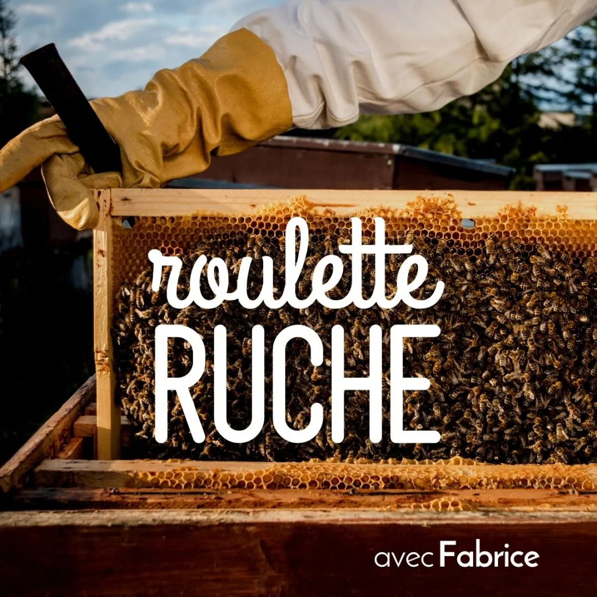 Image qui illustre: Plongez-vous dans le monde merveilleux des abeilles à Marseille - 0