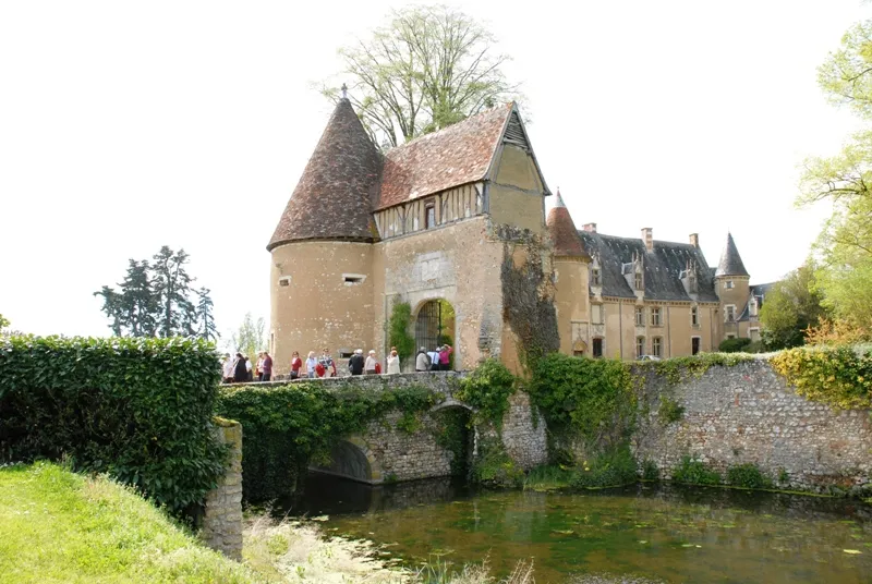 Image qui illustre: Château Et Donjon à Lys-Saint-Georges - 0