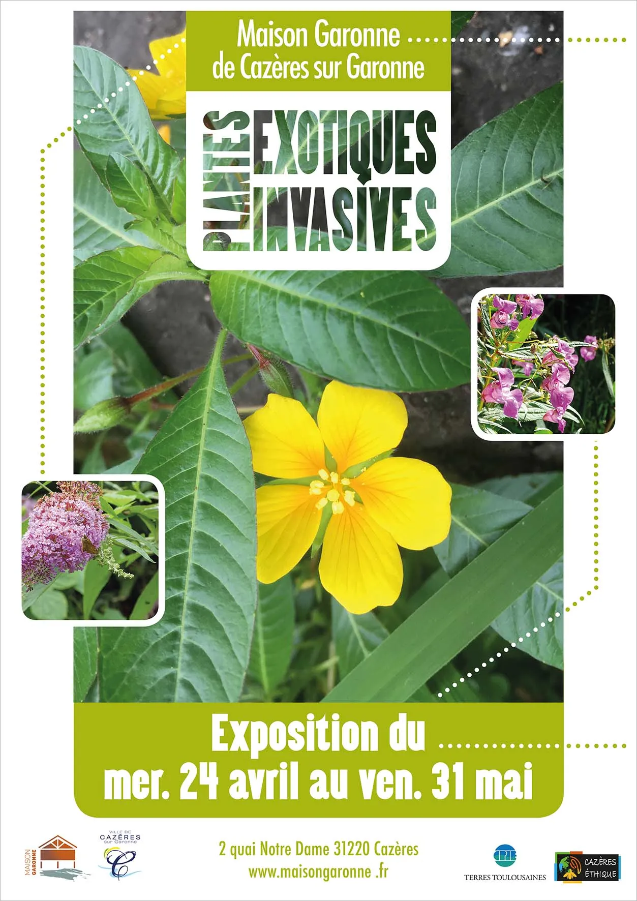 Image qui illustre: Exposition "plantes Exotiques Invasives" à Cazères - 0