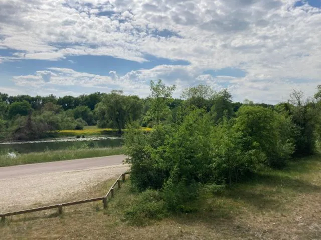 Image qui illustre: Réserve Naturelle du Bois du Parc