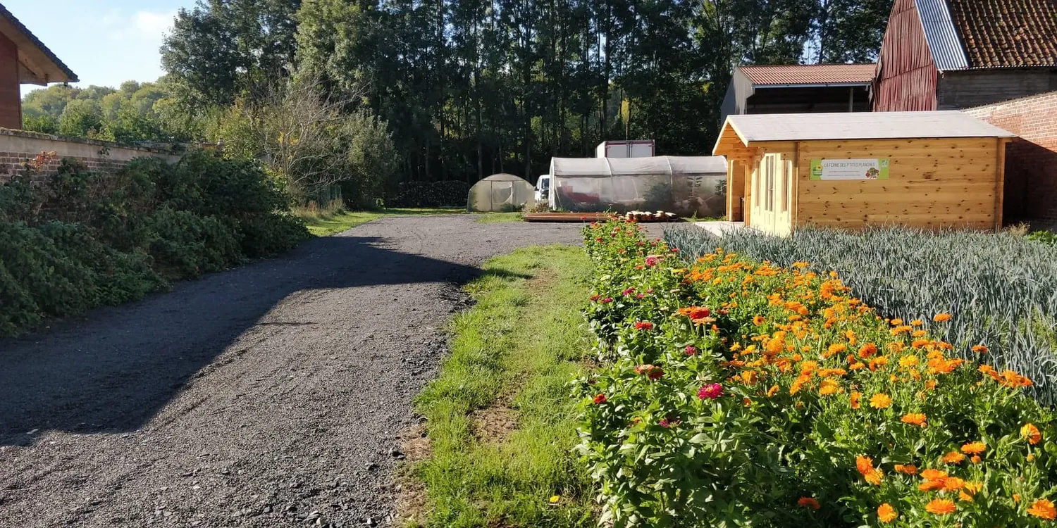 Image qui illustre: Ferme Des P'tites Planches à Reuil-sur-Brêche - 0