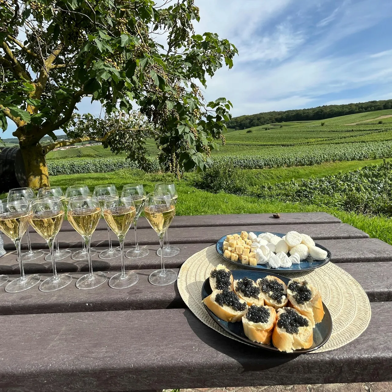 Image qui illustre: Reims : Dégustation de champagne et visite de caves Excursion d'une journée au départ de Paris à Paris - 2