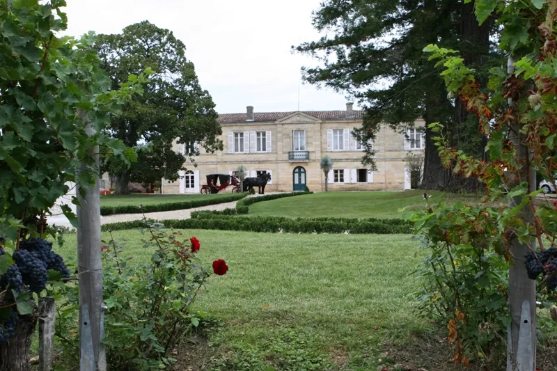 Image qui illustre: Château Marquis De Vauban à Blaye - 0