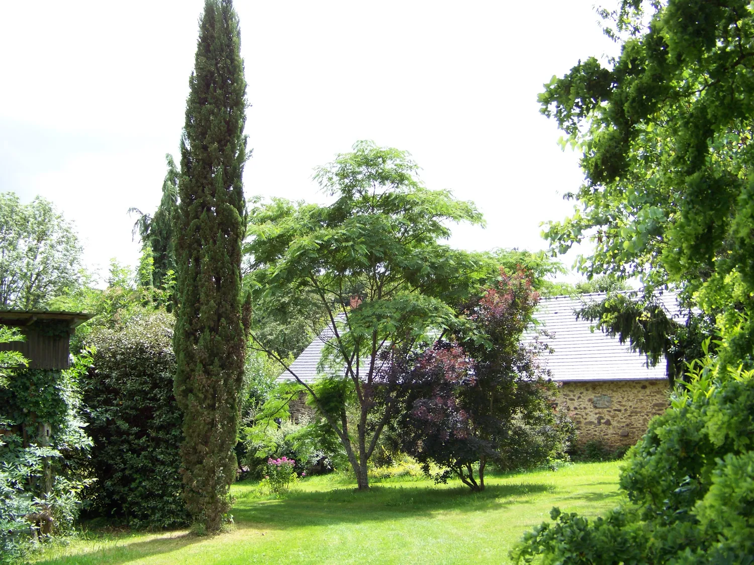 Image qui illustre: Arboretum Al Gaulhia à Espartignac - 2