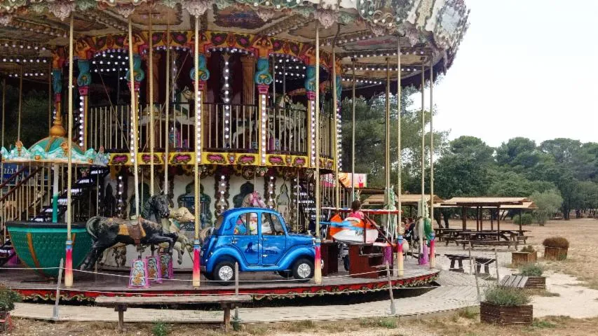 Image qui illustre: Carrousel Du Grand Parc De Figuerolles