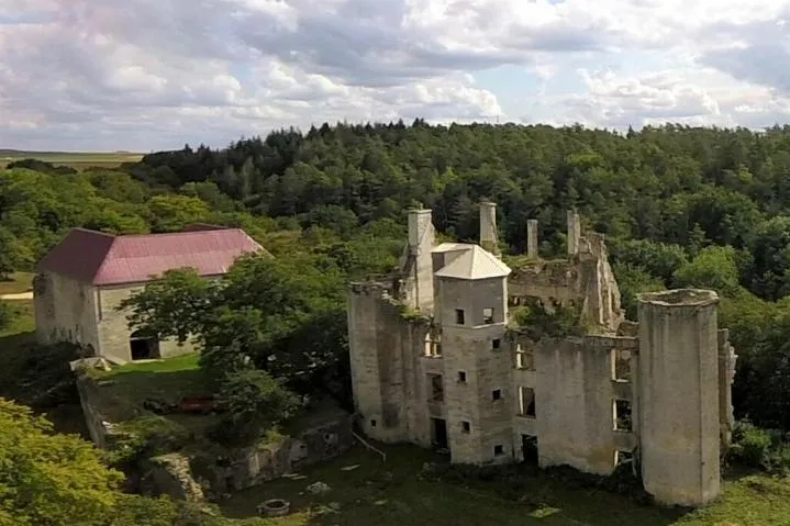 Image qui illustre: Visite guidée du château de Rochefort à Asnières-en-Montagne