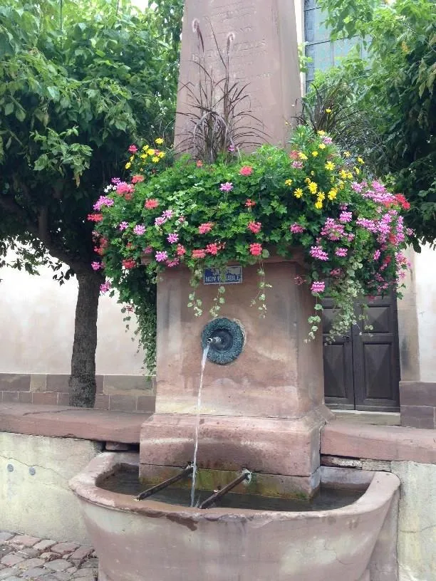 Image qui illustre: Fête De La Fontaine à Wangen - 0