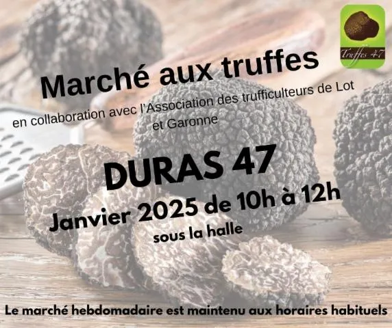 Image qui illustre: Marché Aux Truffes À Confirmer En Janvier 2025