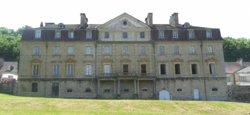 Image qui illustre: Château D'arlay