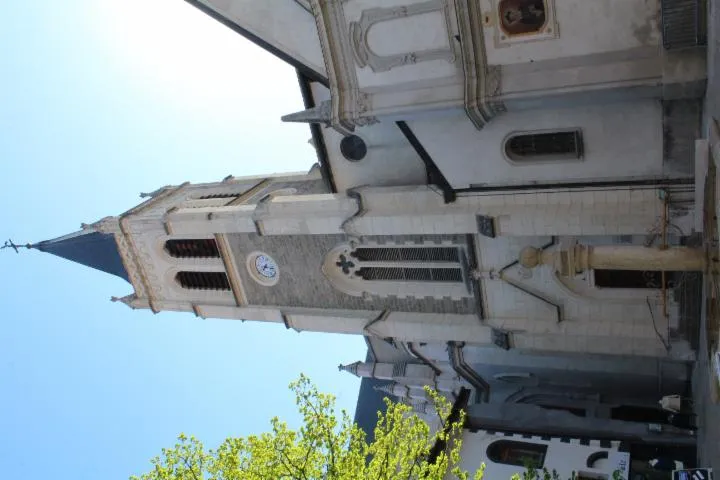 Image qui illustre: Basilique Saint François de Sales