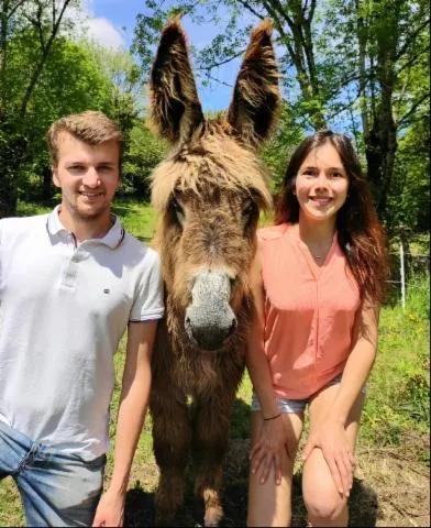 Image qui illustre: La Ferme Aux Ânes - Les Ânesses Du Carladès