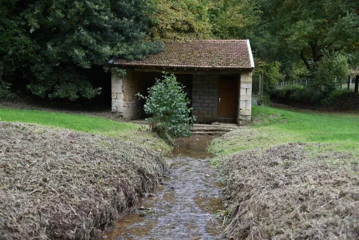 Image qui illustre: Lavoir Bailleul à Thonne-la-Long en Meuse