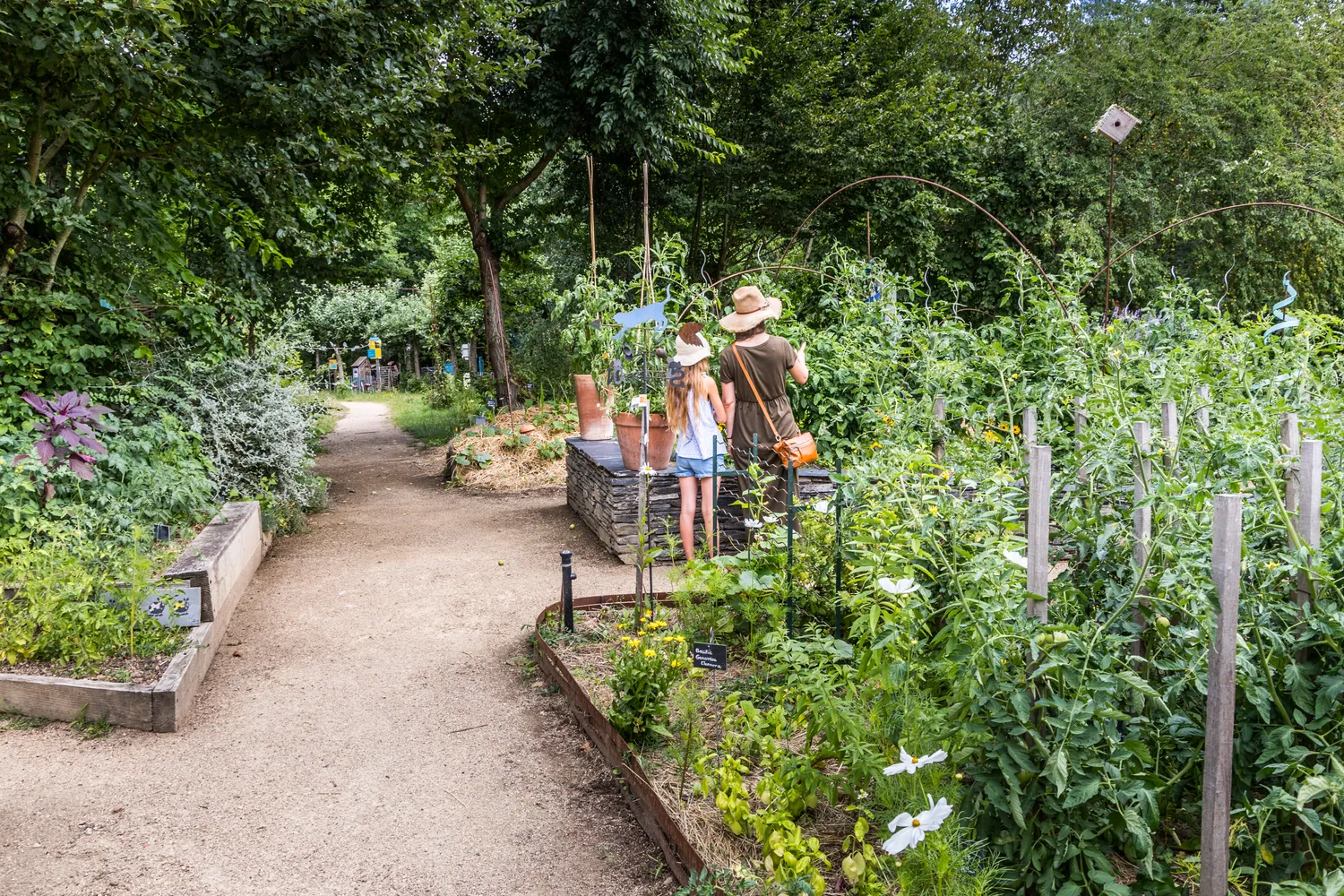 Image qui illustre: Comprendre la permaculture pour cultiver son jardin à Angers - 0