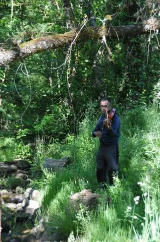 Image qui illustre: Balade nature Viole de gambe, violette et chants de la nature