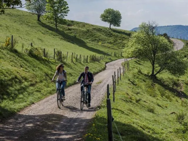 Image qui illustre: Circuit Vtt D04 : Sur Les Contreforts Alsacien Du Donon