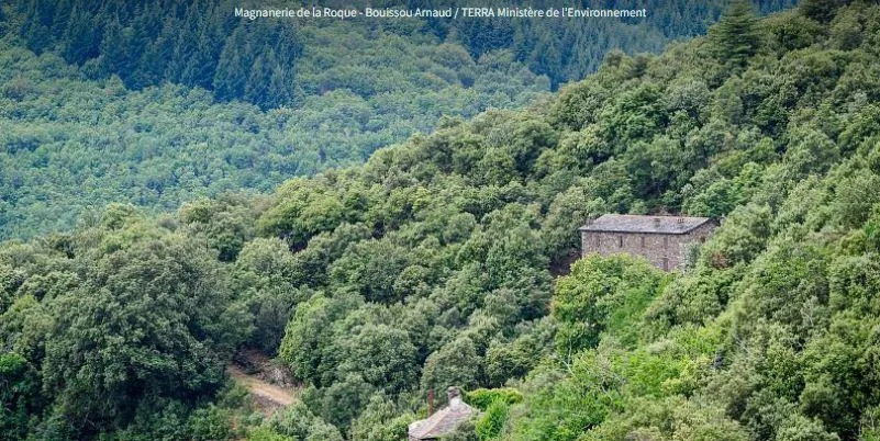 Image qui illustre: Un Ete Avec Le Parc: Au Fil Du Sentier