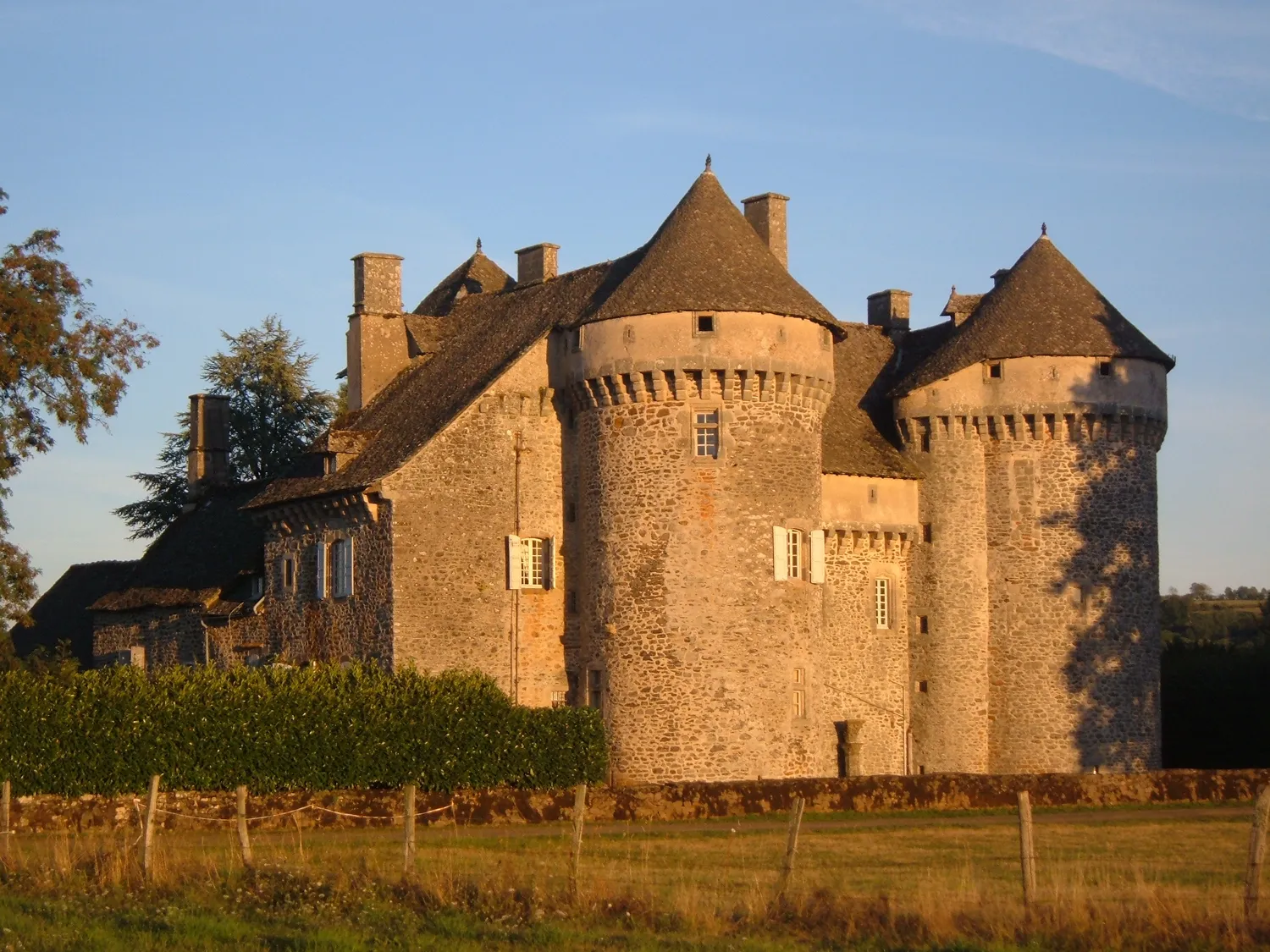 Image qui illustre: Château De La Vigne à Ally - 0