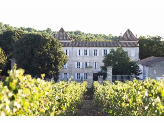 Image qui illustre: Vignobles Woillemont - Château De Marmorières