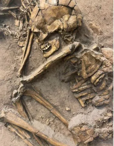 Image qui illustre: Devenez anthropologue à l'ostéothèque de l'université de Bordeaux à Pessac