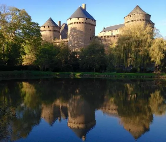 Image qui illustre: Visite guidée du château de Lassay