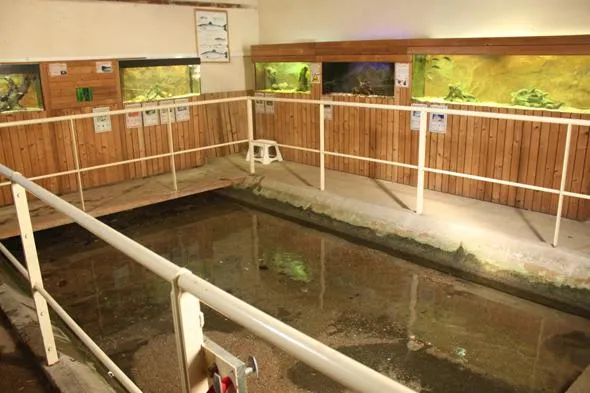 Image qui illustre: Aquariums Du Lavoir à Roches-Prémarie-Andillé - 1