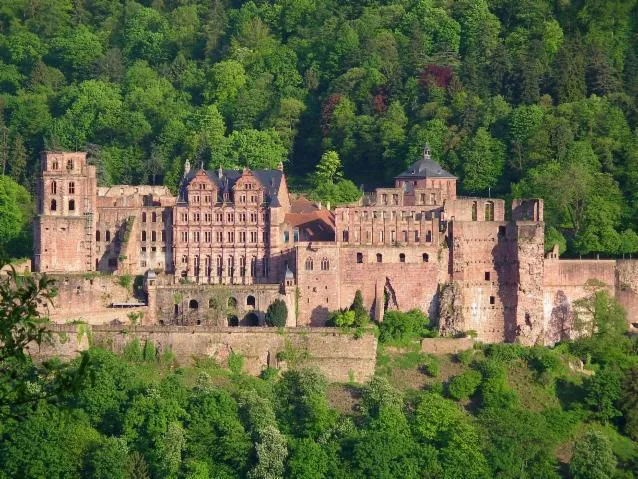 Image qui illustre: Château de Heidelberg