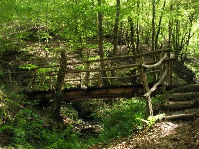 Image qui illustre: Sentier De L'imaginaire : Circuit "la Forêt Magique"