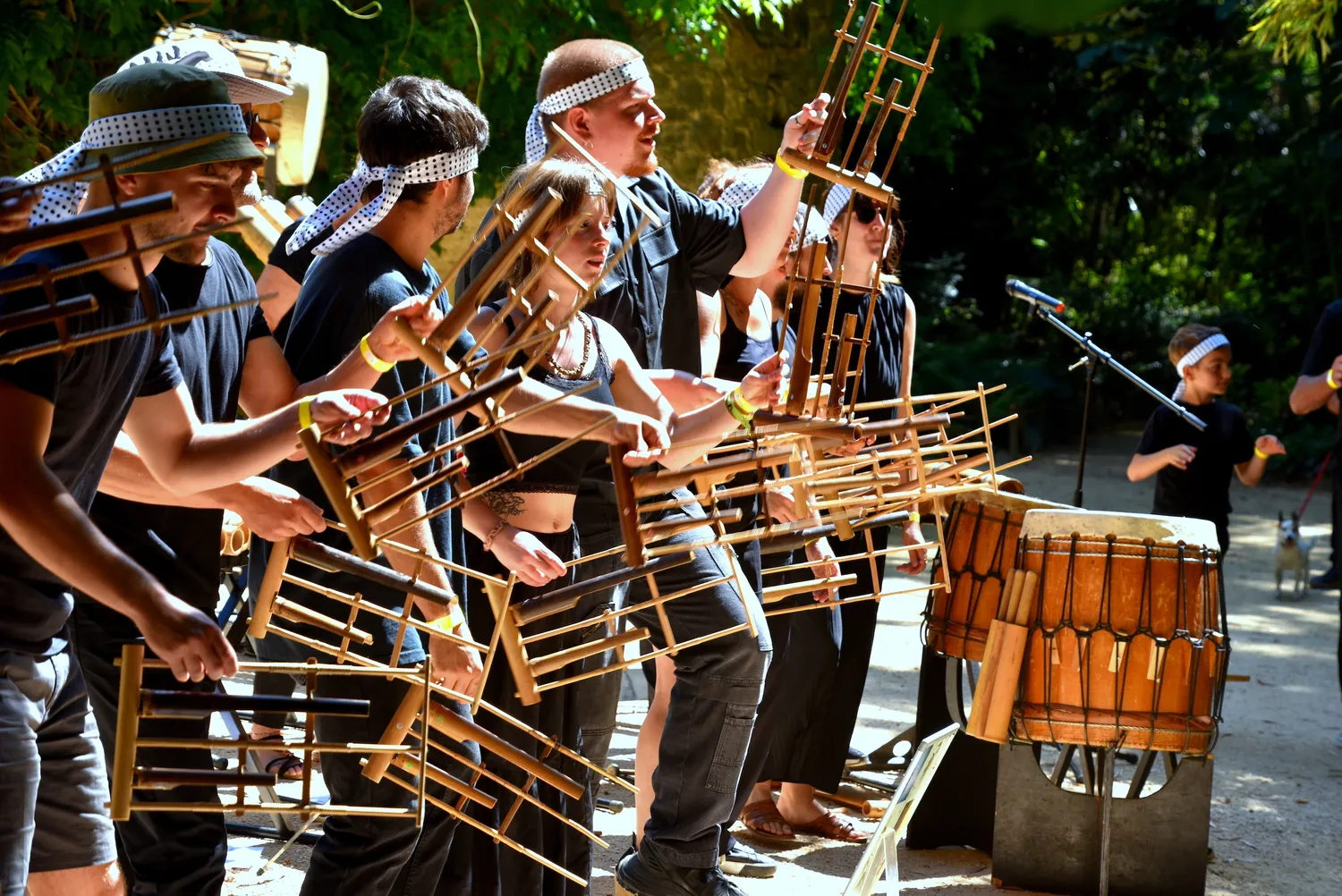 Image qui illustre: Concert :  Les Pousses du Bamboo Orchestra à Générargues - 0