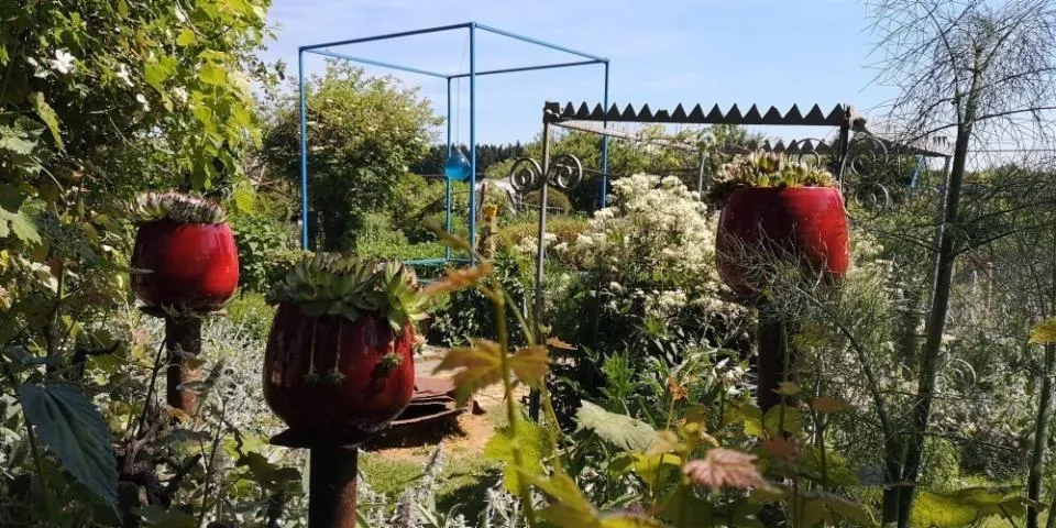 Image qui illustre: Un jardin éco-insolite autour d'un potager fantaisiste, coloré et poétique / rencontre entre art et nature
