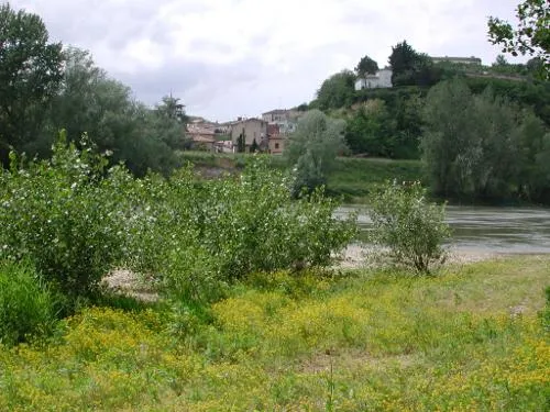Image qui illustre: Meilhan, Entre Canal Et Garonne