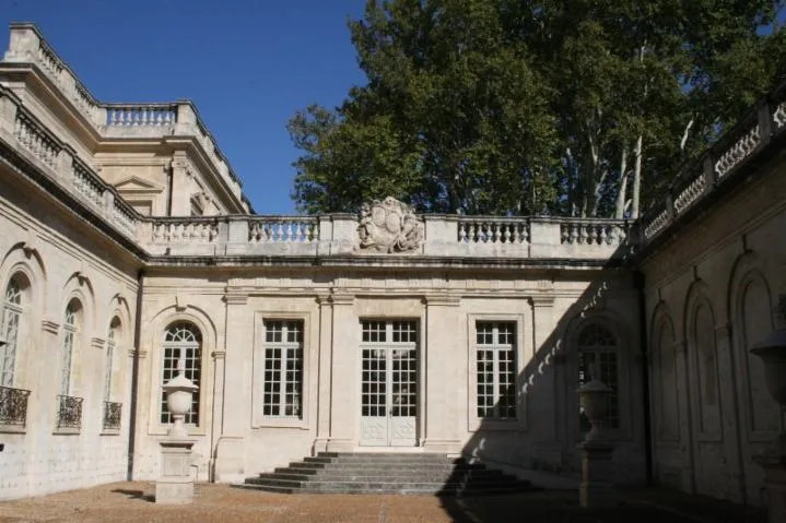 Image qui illustre: Visite découverte du jardin du musée Calvet de la ville d’Avignon