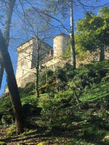 Image qui illustre: Château De Ginals