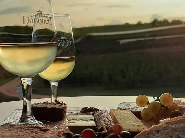 Image qui illustre: Expériences Mossig & Vignoble : Dégustez Du Vin Aux Rendez-vous D'olivier