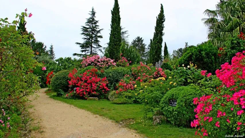 Image qui illustre: Le Jardin De Boissonna