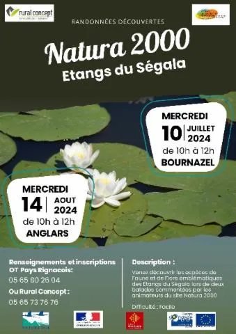 Image qui illustre: Randonnées Découverte Du Site Naturel 2000 Étangs Du Ségala À Anglars-st-felix